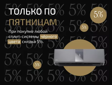 Только в Черную пятницу!